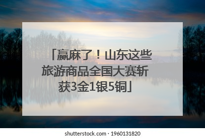 赢麻了！山东这些旅游商品全国大赛斩获3金1银5铜
