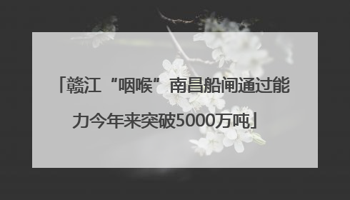 赣江“咽喉”南昌船闸通过能力今年来突破5000万吨
