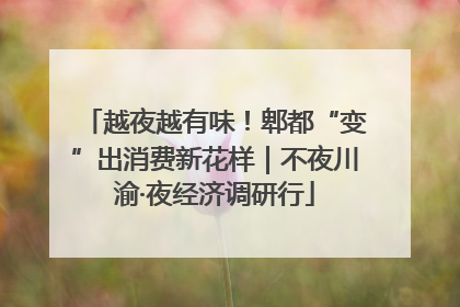 越夜越有味！郫都“变”出消费新花样｜不夜川渝·夜经济调研行