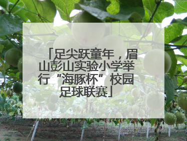 足尖跃童年，眉山彭山实验小学举行“海豚杯”校园足球联赛