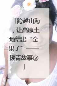 跨越山海，让高原土地结出“金果子”——援青故事②