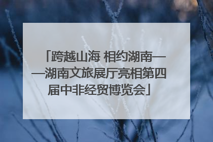 跨越山海 相约湖南——湖南文旅展厅亮相第四届中非经贸博览会