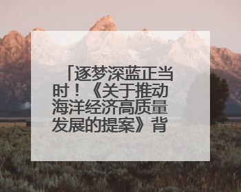 逐梦深蓝正当时！《关于推动海洋经济高质量发展的提案》背后的故事