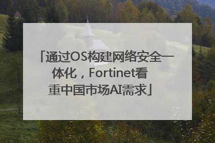 通过OS构建网络安全一体化，Fortinet看重中国市场AI需求