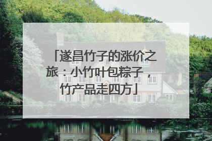 遂昌竹子的涨价之旅：小竹叶包粽子，竹产品走四方