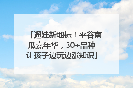 遛娃新地标！平谷南瓜嘉年华，30+品种让孩子边玩边涨知识