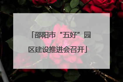 邵阳市“五好”园区建设推进会召开