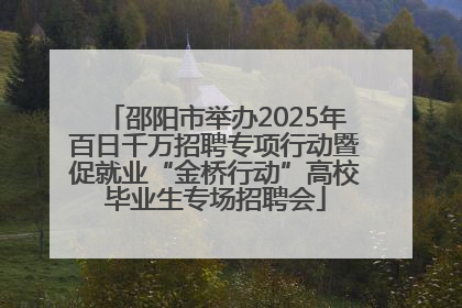 邵阳市举办2025年百日千万招聘专项行动暨促就业“金桥行动”高校毕业生专场招聘会
