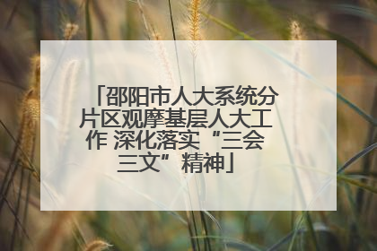 邵阳市人大系统分片区观摩基层人大工作 深化落实“三会三文”精神