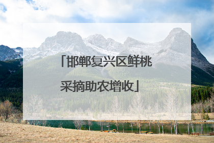 邯郸复兴区鲜桃采摘助农增收