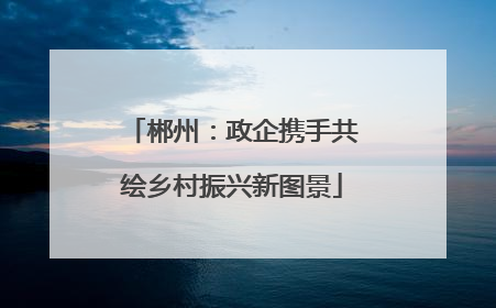 郴州：政企携手共绘乡村振兴新图景