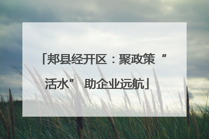 郏县经开区：聚政策“活水” 助企业远航