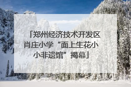 郑州经济技术开发区肖庄小学“面上生花小小非遗馆”揭幕