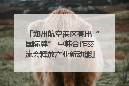 郑州航空港区亮出“国际牌” 中韩合作交流会释放产业新动能