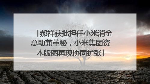 郝祥获批担任小米消金总助兼董秘，小米集团资本版图再现协同扩张