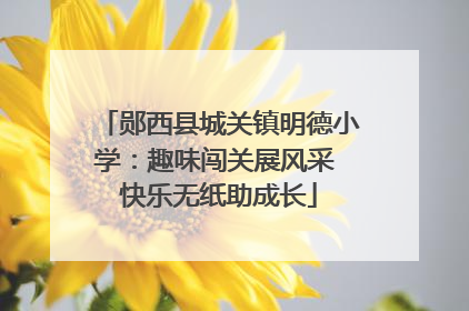 郧西县城关镇明德小学：趣味闯关展风采 快乐无纸助成长