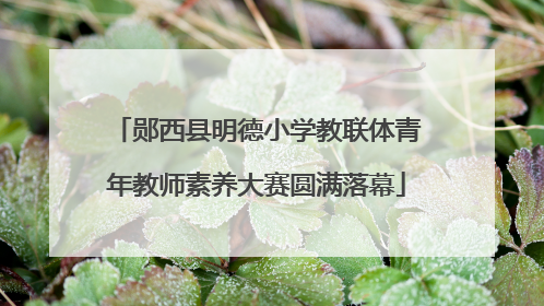 郧西县明德小学教联体青年教师素养大赛圆满落幕
