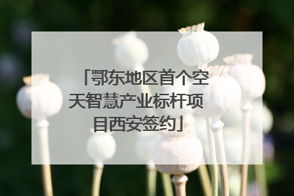 鄂东地区首个空天智慧产业标杆项目西安签约