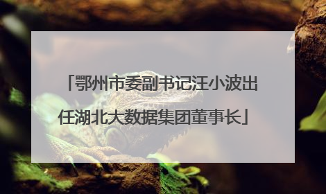 鄂州市委副书记汪小波出任湖北大数据集团董事长