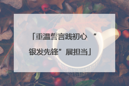 重温誓言践初心 “银发先锋”展担当