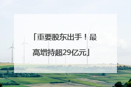 重要股东出手！最高增持超29亿元