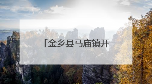 金乡县马庙镇开展“童心同梦同成长”运河大集文艺节目汇演活动