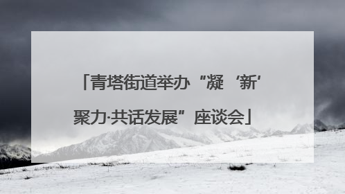 青塔街道举办“凝‘新’聚力·共话发展”座谈会