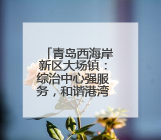 青岛西海岸新区大场镇：综治中心强服务，和谐港湾暖民心