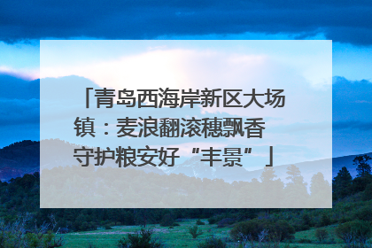 青岛西海岸新区大场镇：麦浪翻滚穗飘香 守护粮安好“丰景”