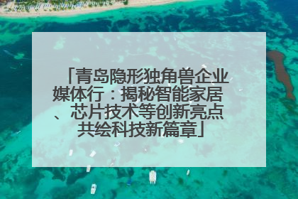 青岛隐形独角兽企业媒体行：揭秘智能家居、芯片技术等创新亮点 共绘科技新篇章