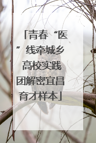 青春“医”线牵城乡 高校实践团解密宜昌育才样本