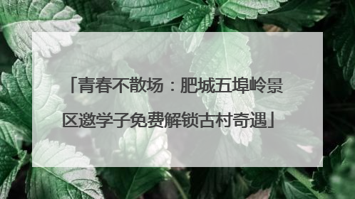 青春不散场：肥城五埠岭景区邀学子免费解锁古村奇遇