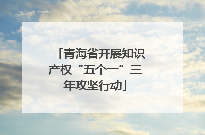 青海省开展知识产权“五个一”三年攻坚行动