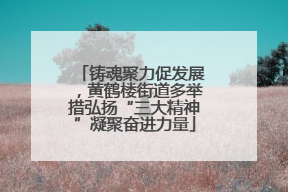 铸魂聚力促发展，黄鹤楼街道多举措弘扬“三大精神”凝聚奋进力量