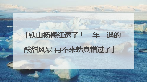 铁山杨梅红透了！一年一遇的酸甜风暴 再不来就真错过了