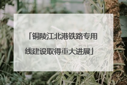 铜陵江北港铁路专用线建设取得重大进展