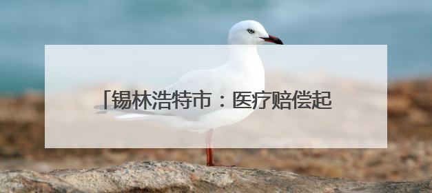 锡林浩特市：医疗赔偿起纷争 专业调解化戾气