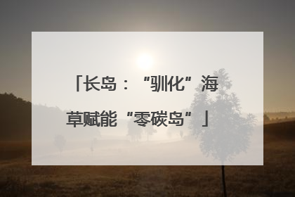长岛：“驯化”海草赋能“零碳岛”