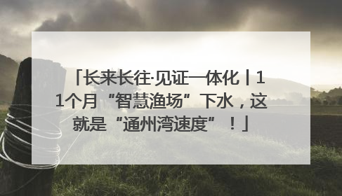长来长往·见证一体化丨11个月“智慧渔场”下水，这就是“通州湾速度”！