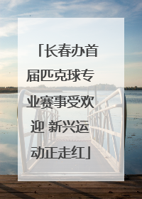 长春办首届匹克球专业赛事受欢迎 新兴运动正走红