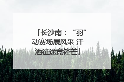 长沙南：“羽”动赛场展风采 汗洒征途竞锋芒