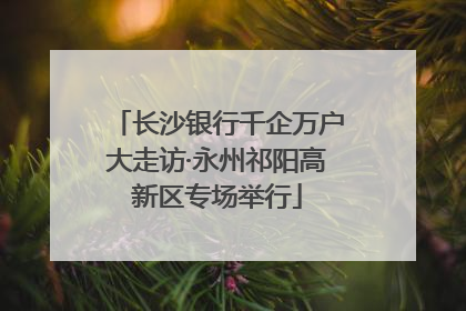 长沙银行千企万户大走访·永州祁阳高新区专场举行