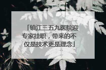 镇江三五九医院迎专家挂职，带来的不仅是技术更是理念