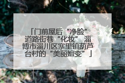 门前屋后“净脸” 道路街巷“化妆” 淄博市淄川区寨里镇葫芦台村的“美丽嬗变”