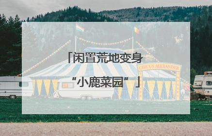 闲置荒地变身“小鹿菜园”