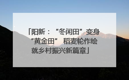 阳新：“冬闲田”变身“黄金田” 稻麦轮作绘就乡村振兴新篇章