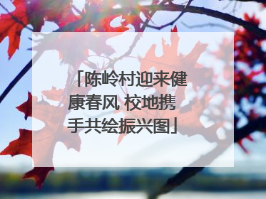 陈岭村迎来健康春风 校地携手共绘振兴图