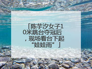 陈芋汐女子10米跳台夺冠后，现场看台下起“娃娃雨”