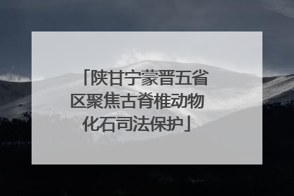 陕甘宁蒙晋五省区聚焦古脊椎动物化石司法保护