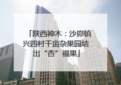 陕西神木：沙峁镇兴四村千亩杂果园结出“杏”福果